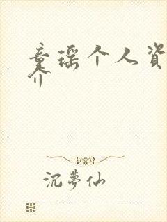 童瑶个人资料简介封面