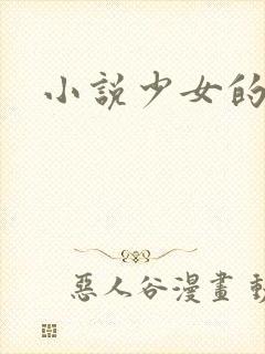 小说少女的心封面