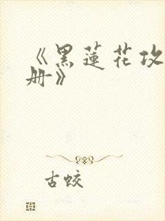 《黑莲花攻略手册》