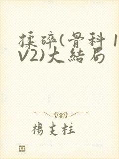 揉碎(骨科 1V2)大结局