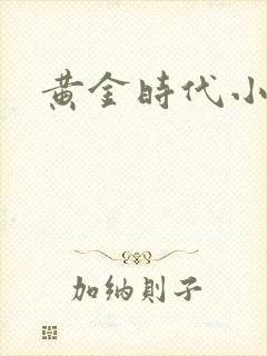 黄金时代小说