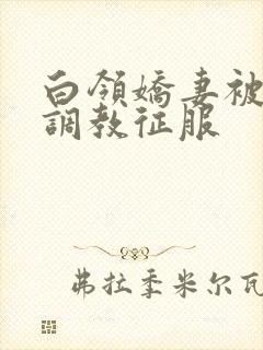 白领娇妻被老板调教征服