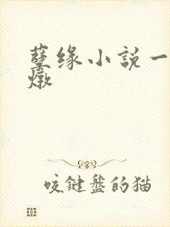 孽缘小说一家乱炖