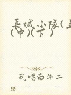长城小队(上)(中)(下 )封面