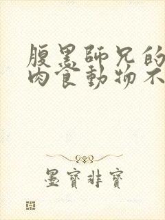 腹黑师兄的日常肉食动物不食草封面