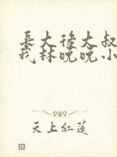 长大后大叔狂宠我林晚晚小说