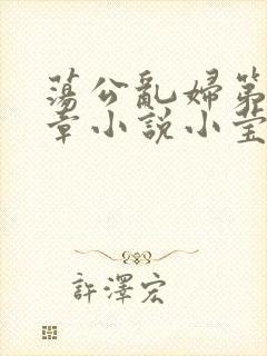 荡公乱妇第51章小说小莹