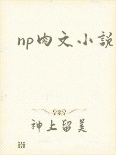 np肉文小说封面