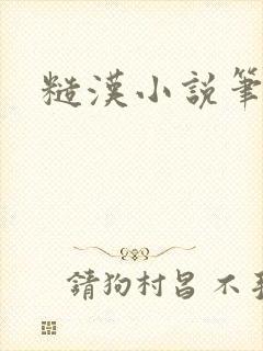 糙汉小说笔趣阁封面