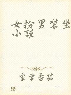 女扮男装坐江山小说