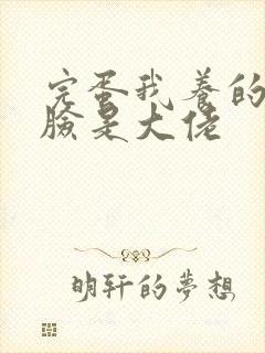 完蛋我养的小白脸是大佬