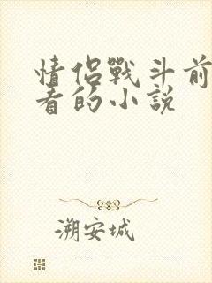 情侣战斗前适合看的小说