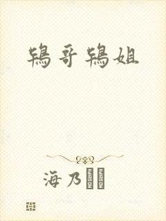 鸨哥鸨姐封面