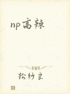 np高辣