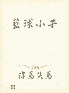 篮球小子
