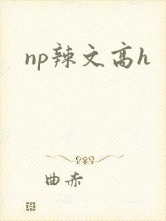 np辣文高h