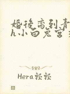 婚后脔到青梅哭h小白兔宫交h封面