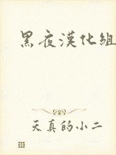 黑夜汉化组
