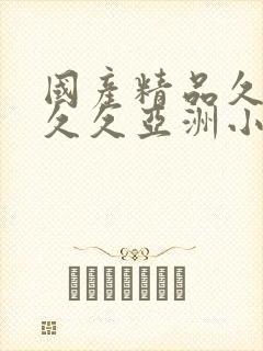 国产精品久久久久久亚洲小说