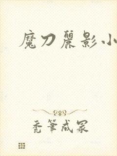 魔刀丽影小说