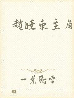 赵晓东主角小说