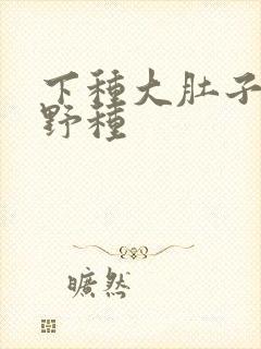 下种大肚子怀孕野种