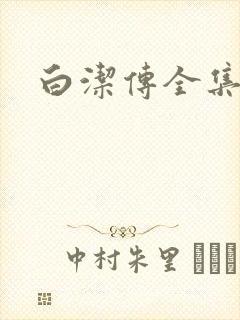 白洁传全集