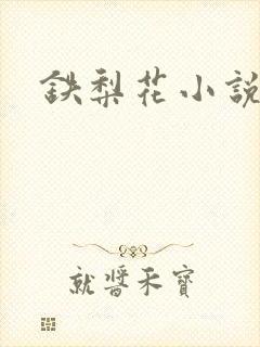 铁梨花小说