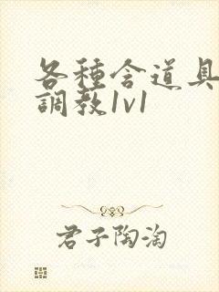 各种含道具高h调教1v1封面