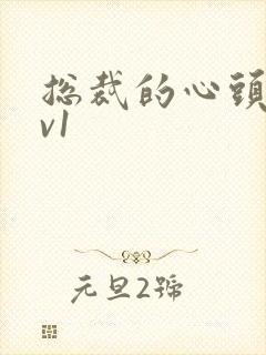 总裁的心头宝1v1