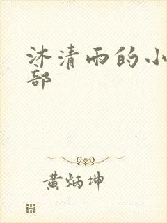 沐清雨的小说全部