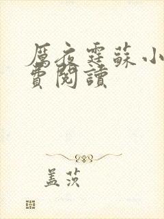 厉夜霆苏小汐免费阅读