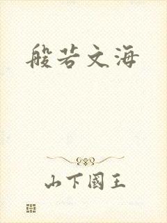 般若文海封面