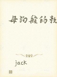 母狗般的教师封面