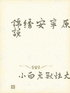 锦绣安宁原著小说