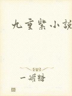 九重紫小说