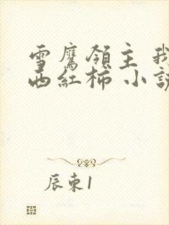 雪鹰领主 我吃西红柿 小说