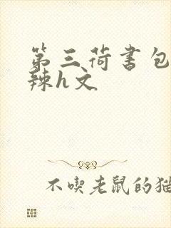 第三荷书包网高辣h文