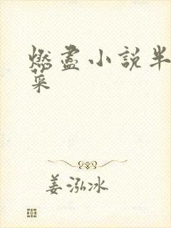 燃尽小说半截白菜