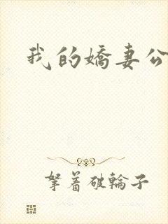 我的娇妻公务员