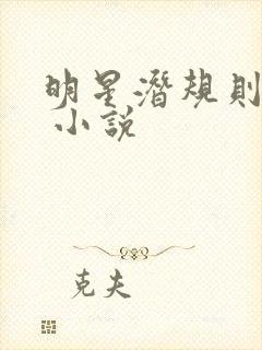 明星潜规则之皇 小说