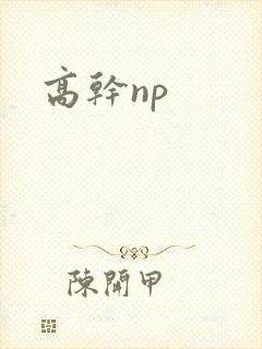 高干np