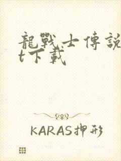 龙战士传说txt下载