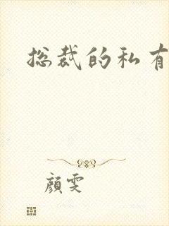 总裁的私有宝贝