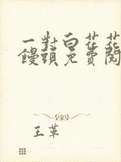 一对白花花的大馒头免费阅读