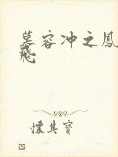 慕容冲之凤凰于飞封面