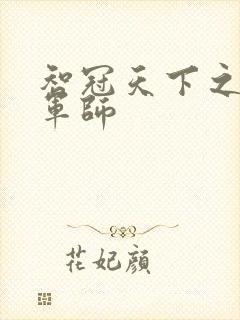 智冠天下之风流军师封面