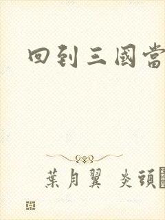 回到三国当军阀封面