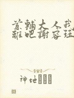 首辅大人我们和离吧谢容珏封面