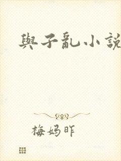 与子乱小说